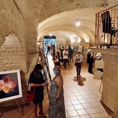 Mostra Sinergia d'arte