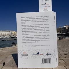 Il libri finalisti del Premio Fondazione Megamark