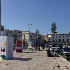 Il libri finalisti del Premio Fondazione Megamark