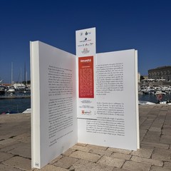 Il libri finalisti del Premio Fondazione Megamark