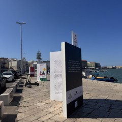 Il libri finalisti del Premio Fondazione Megamark