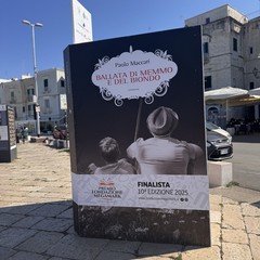 Il libri finalisti del Premio Fondazione Megamark