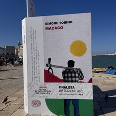 Il libri finalisti del Premio Fondazione Megamark