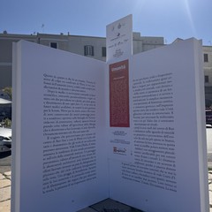 Il libri finalisti del Premio Fondazione Megamark