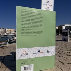 Il libri finalisti del Premio Fondazione Megamark