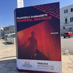 Il libri finalisti del Premio Fondazione Megamark