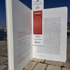 Il libri finalisti del Premio Fondazione Megamark