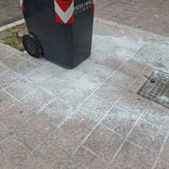 Veleno in via Borsellino