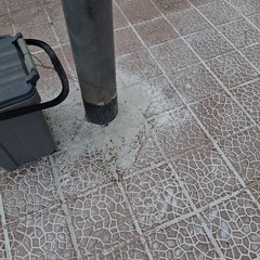 Veleno in via Borsellino