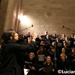 Diocesi in festa, fotografie di Luciano Zitoli