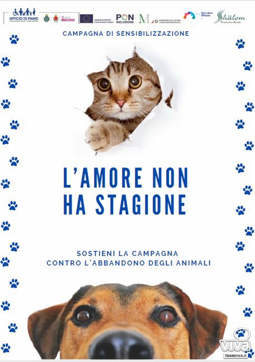 L'Amore non ha stagione - Campagna contro l'abbandono degli animali domestici
