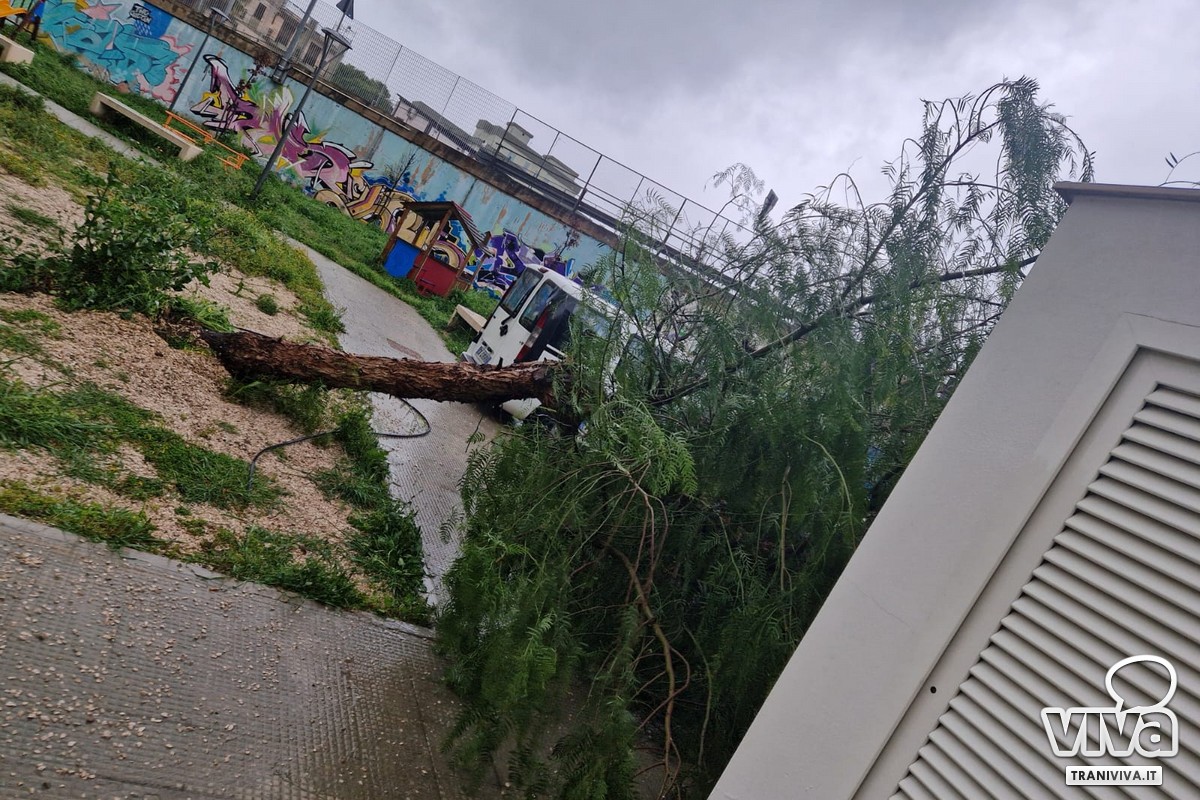 Trani - Via Pugliese