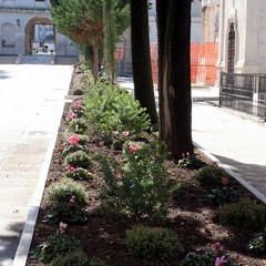 Nuove aiuole al cimitero di Trani