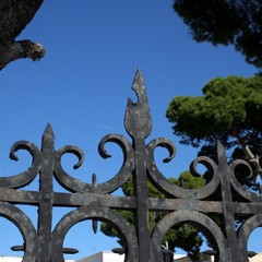 Nuove aiuole al cimitero di Trani