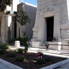 Nuove aiuole al cimitero di Trani