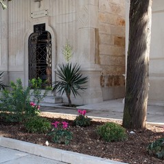 Nuove aiuole al cimitero di Trani