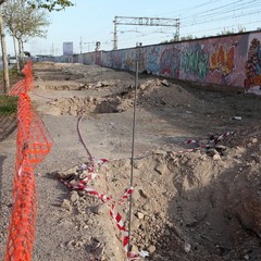 Via Falcone e via Borsellino, arrivano gli ulivi