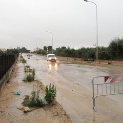 Allagamenti e disagi in tutta la città