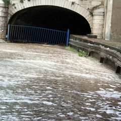 Allagamenti e disagi in tutta la città