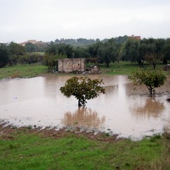 Allagamenti e disagi in tutta la città