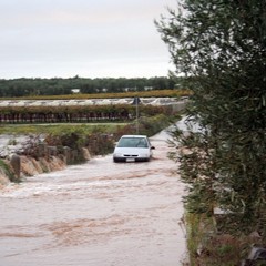 Allagamenti e disagi in tutta la città