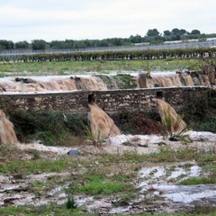 Allagamenti e disagi in tutta la città