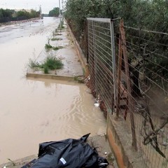 Allagamenti e disagi in tutta la città