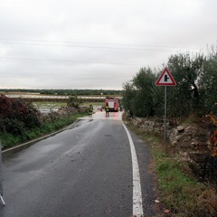 Allagamenti e disagi in tutta la città