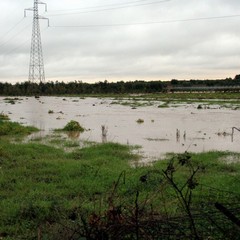 Allagamenti e disagi in tutta la città