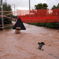 Allagamenti e disagi in tutta la città