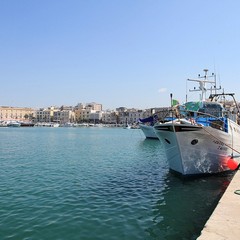 Auto d'epoca sul porto di Trani