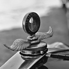 Auto d'epoca sul porto di Trani