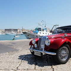 Auto d'epoca sul porto di Trani