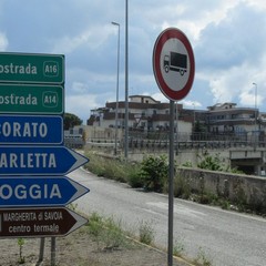 Trani, autobus bloccato sulla rampa della 16 bis