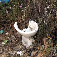 Bagni abbandonati per strada...