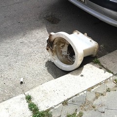 Bagni abbandonati per strada...