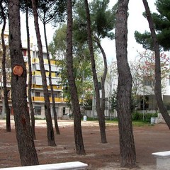 Crocifisso di Colonna, la parrocchia di Santa Maria delle Grazie è in fermento