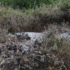 Rifiuti pericolosi abbandonati in contrada Carrara delle monache