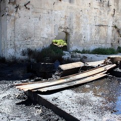 Blitz di TraniViva nell'ex distilleria Angelini