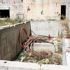 Blitz di TraniViva nell'ex distilleria Angelini