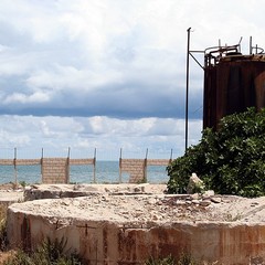 Blitz di TraniViva nell'ex distilleria Angelini