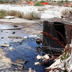 Blitz di TraniViva nell'ex distilleria Angelini