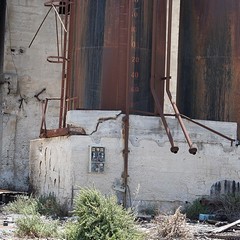 Blitz di TraniViva nell'ex distilleria Angelini