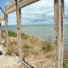 Blitz di TraniViva nell'ex distilleria Angelini