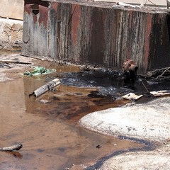 Blitz di TraniViva nell'ex distilleria Angelini