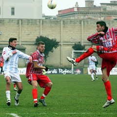 Fortis Trani - Angri 3-2