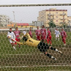 Fortis Trani - Angri 3-2