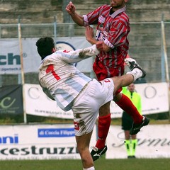 Fortis Trani - Angri 3-2