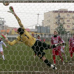 Fortis Trani - Angri 3-2