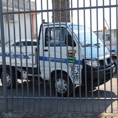 grafiche mezzi amiu 5